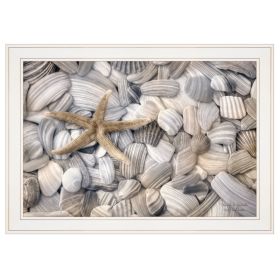 Trendy Decor 4U "Starfish & Seashells" Framed Wall Art, Modern Home Decor Framed Print for Living Room, Bedroom & Farmhouse Wall Decoration by Lori De