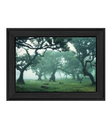 "Enchanted Forest II" by Martin Podt, Ready to Hang Framed Print, Black Frame