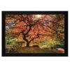 "First Colors of Fall" by Moises Levy, Ready to Hang Framed Print, Black Frame