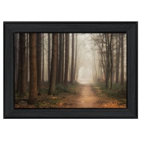 "Quiet" By Martin Podt, Printed Wall Art, Ready To Hang Framed Poster, Black Frame