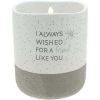 Pavilion - I Always Wished for A Friend Like You - 10-Ounce Surprise Hidden Message Natural Soy Wax Candle Cotton Scented, 1 Count (Pack of 1), 3.5' x