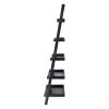 Bellamy 5-Tier Leaning Shelf; Black