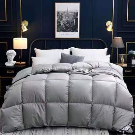 Down Duvet, Winter Duvet, Goose Down Duvet Core, Air Conditioner (Option: Grey-220* 240cm-6)