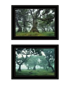 "Enchanted Forest Collection" 2-Piece Vignette By Martin Podt, Ready to Hang Framed Print, Black Frame (Color: as Pic)