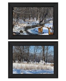 "Great Outdoors-Nature/Winter Forest" 2-Piece Vignette by Trendy Decor 4U, Ready to Hang Framed Print, Black Frame (Color: as Pic)